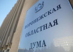  Выплаты для детей с редким заболеванием предложили ввести депутаты Воронежской областной Думы
