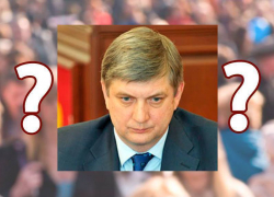 Воронежцы гадают, что от них скрывает власть, уничтожая выборы мэра