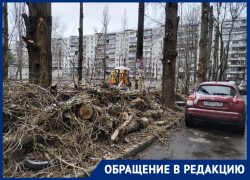 Завалили ветками и порвали провода: воронежцев поразило благоустройство в собственном дворе