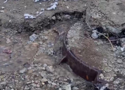 «Размыло полдвора»: масштабная коммунальная авария попала на видео в Воронеже