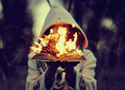 Депутатов Воронежской гордумы призвали «гореть свободой»