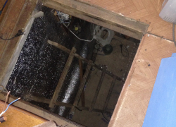 В Воронеже на Левом берегу в подвале дома выращивали коноплю 