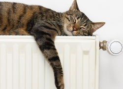 В четверг в Воронеже отключат отопление 