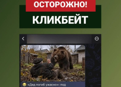 Развенчан фейк о смертельном нападении бурого медведя на воронежского ветерана