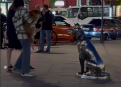 Необычная встреча попала на видео в центре Воронежа