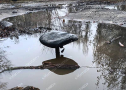 Самое эпичное место для "рыбалки" показали в Воронеже