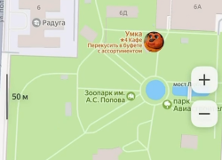  Воронежский зоопарк пережил мем-атаку кривомордыми конями