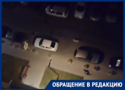 «И так каждую ночь»: собачий кураж попал на видео в Воронеже 
