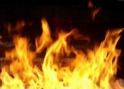 В Воронежской области ночью сгорели дачный дом и два сарая