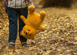 Потерявшийся под Воронежем 4-летний мальчик за день прошел 7 километров