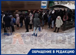 «Может власти Воронежа перестанут так позорить город?» 