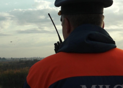 МЧС: страшные пожары в Воронежской области могут повториться