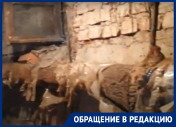 Канализационные воды топят подвалы трех домов в Воронеже