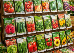 Семена с нарушениями нашли в Воронежской области 