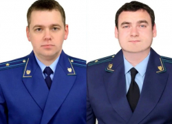Назначены новые прокуроры в Рамонском и Ольховатском районах Воронежской области