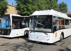 Воронеж связали с Запорожской областью новым автобусным маршрутом