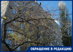 Жильцы многоэтажки месяц воюют за отопление в Воронеже 