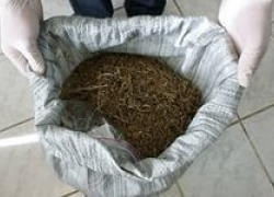 Воронежец ходил по городу с килограммом конопли