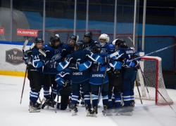 Новый хоккейный клуб появится осенью в Воронеже 