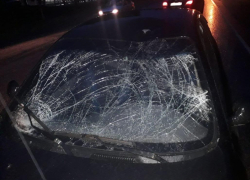 Иномарка сбила школьниц на велосипеде под Воронежем