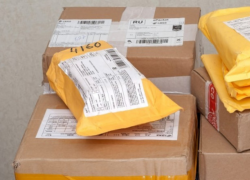 Воронежца будут судить за посылку с допингом из Белоруссии