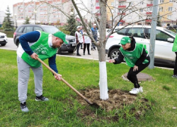 Нововоронежские эко-волонтеры попали в фокус внимания директора «Росатома»