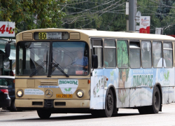 Штрафы до 500 тыс рублей и 120 дней на получение лицензии: что нужно знать о новых правилах в сфере автобусных перевозок 