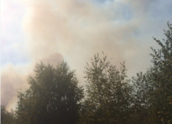 Чудовищный пожар на Левом берегу Воронежа тушат 107 человек