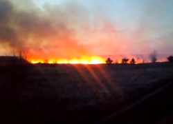 118 пожаров произошло за сутки в Воронежской области 