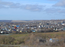 Определен глава Нижнедевицкого района Воронежской области