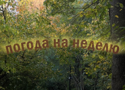 Испытание на прочность: как погода проверит воронежцев на следующей неделе