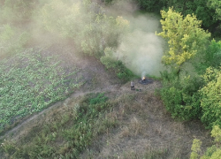 Семь поджигателей сняли беспилотники пожарных в Воронежской области