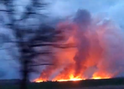 Огромное возгорание камыша сильно напугало воронежцев