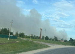 Около 174 млн рублей потребовал с железнодорожников Воронежский заповедник имени Пескова