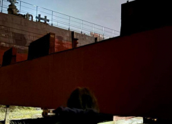 Два трупа нашли в доке в Воронежской области 