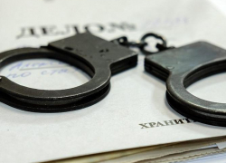 Воронежца осудили за кражу баяна, семи кур и продуктов