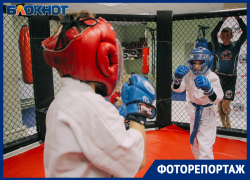 Ладонь превратилась в кулак: как прокладывают путь к вершинам MMA в Воронеже