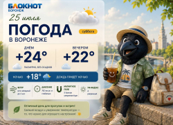 Эмоциональные качели устроит воронежцам погода: прогноз 