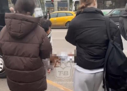 Маршрутка №16 сбила двух студенток и парня на Минской в Воронеже 