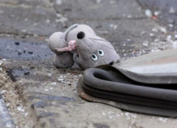 Годовалый ребенок пострадал в столкновении трактора и ВАЗ в Воронежской области