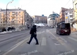 Пешехода с девятью жизнями нашли в Воронеже 