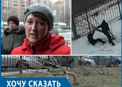 Воронежцы просят губернатора найти и наказать виновных в варварском уничтожении деревьев на Бульваре Победы 