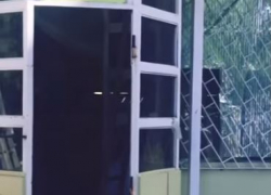 В Воронеже варварски разгромили магазин, где работал мясник-разоблачитель