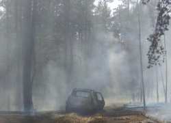 Загоревшиеся машины подожгли лес в Воронежской области