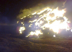 В Воронежской области сгорело 48 тонн сена