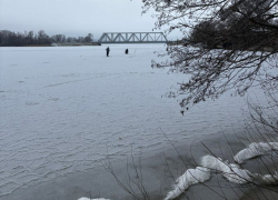 Первых смелых рыбаков заметили на тонком льду Воронежского водохранилища