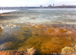 Цветение водорослей раньше срока заметили воронежцы на водохранилище