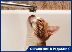«Никому этот дом не нужен»: есть место, где воронежцы уже сутки живут без воды 
