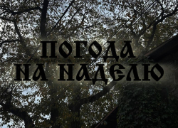 Осенняя неделя в Воронеже: с каждым днем все холоднее