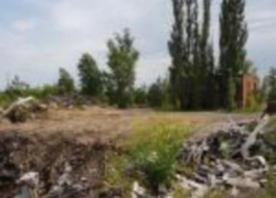 Незаконные свалки во всех районах Воронежа уберут из-за жалоб пользователей в интернете